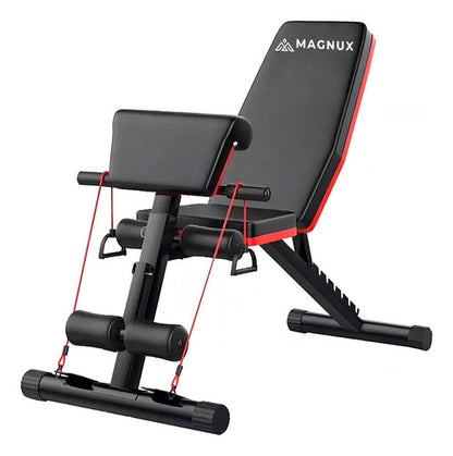 Banco Plegable Abdominales + Par Mancuernas 10kg